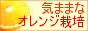 気ままなオレンジ栽培