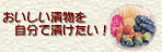 おいしい漬物を自分で漬けたい!